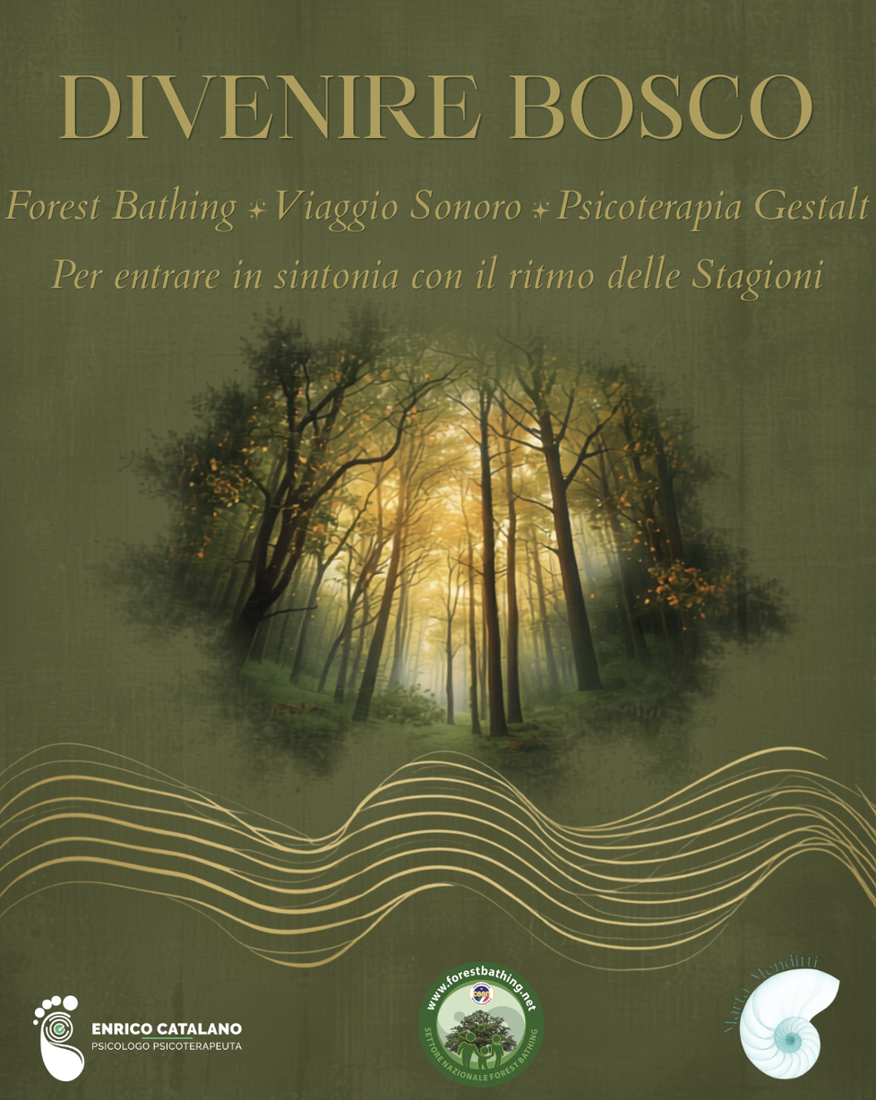Divenire bosco